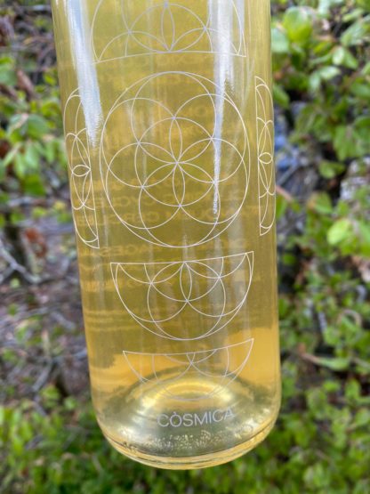 Cosmic - Connexio