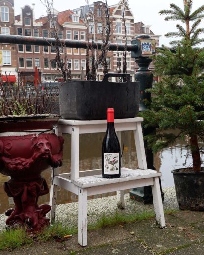 Gamins, Domaine de la Petite Soeur, 2018